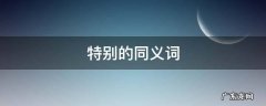 特别的同义词