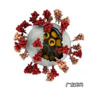 3D max文件被感染病毒,模型全部丢失怎么办？解决方案及病毒清理工具