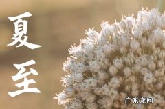 2023年夏至是几月几号 2023夏至是哪一天