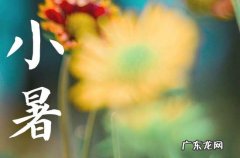 2023年小暑 应该吃什么时令水果