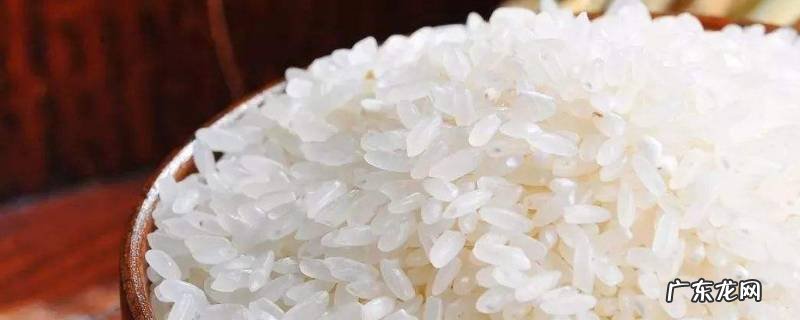 为什么米的一端有黑点,为什么米的一端有黑点点
