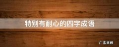 特别有耐心的四字成语