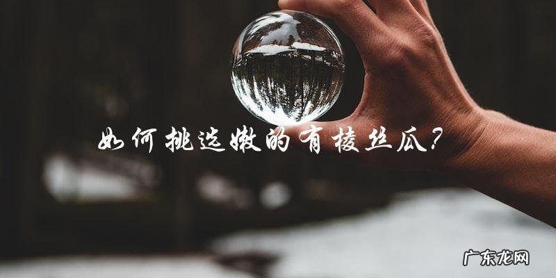如何挑选嫩的有棱丝瓜?