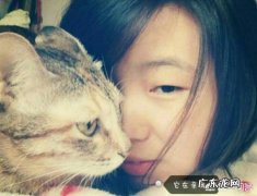 橘猫和狸花猫 怎么挑选一只优秀的狸花猫