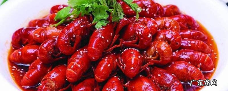 下雨天龙虾会出来吗,暴雨过后会有龙虾出来吗