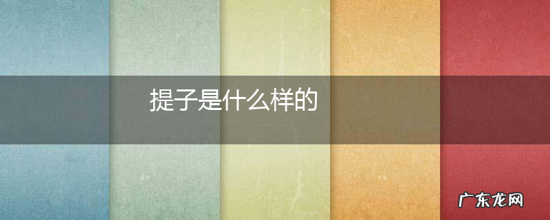 提子是什么样的