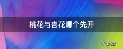 桃花与杏花哪个先开