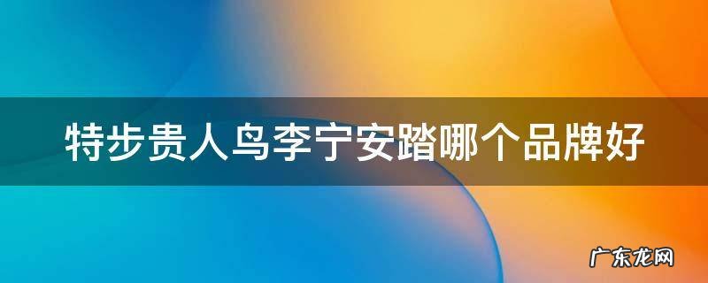 特步贵人鸟李宁安踏哪个品牌好