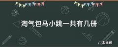 淘气包马小跳一共有几册