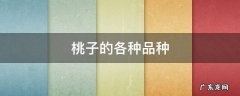 桃子的各种品种