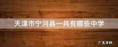 天津市宁河县一共有哪些中学