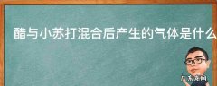 醋与小苏打混合后产生的气体是什么,小苏打和醋混合后产生的气体是什么
