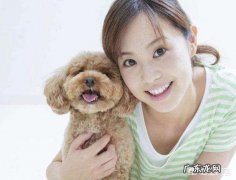 泰迪犬为讨好主人，它们会怎么做呢