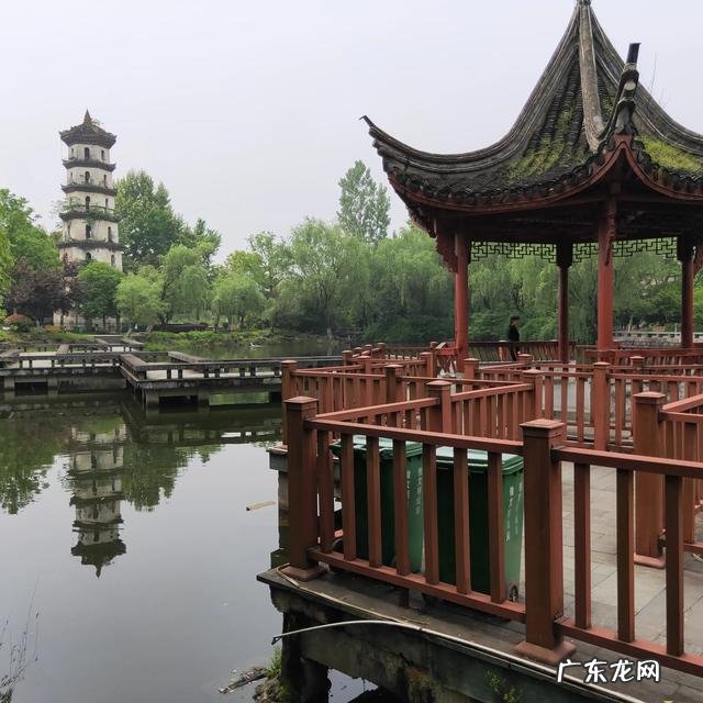 背锅 狗在追赶人类时,人突然蹲下来的时候,那时狗在怎么看待人