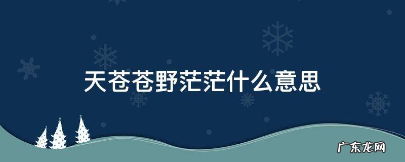 天苍苍野茫茫什么意思