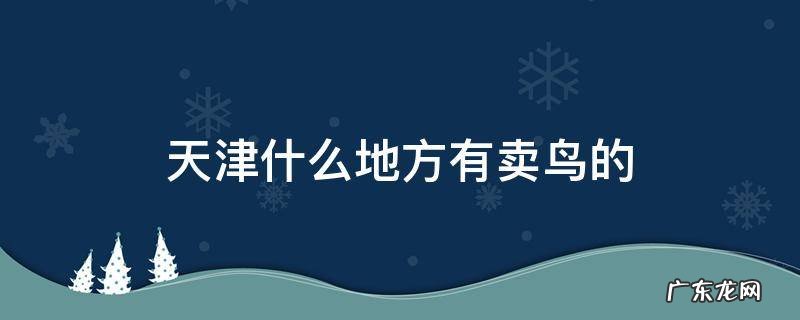 天津什么地方有卖鸟的