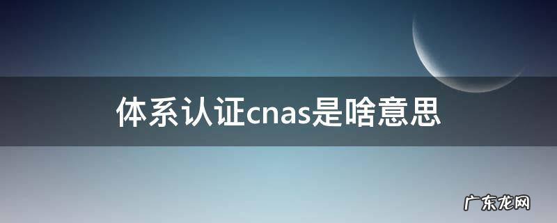 体系认证cnas是啥意思