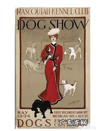 冷知识 狗狗有什么冷知识是我们不知道的