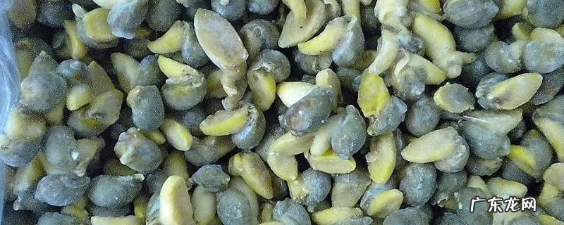 鲍鱼螺的粘液怎么处理,鲍鱼螺粘液是什么