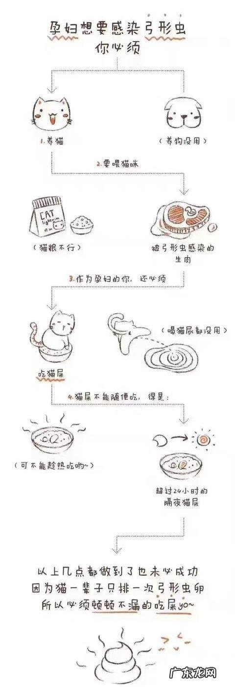 怎么判断狗狗有弓形虫 养宠物会有感染弓形虫的风险,尤其是孕妇和儿童,可为什么还有那么多人饲养