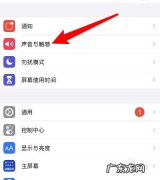 如何对 Mac 电脑进行声音大小调节？