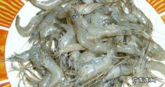 孕期美食：油爆鲜河虾高蛋白低脂肪就选它