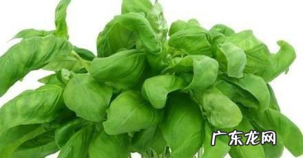 甲醛检测盒有用吗怎样去除甲醛