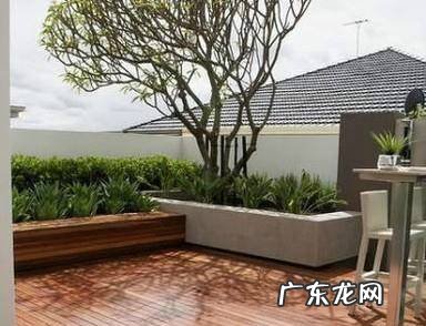 如何打造楼顶花园