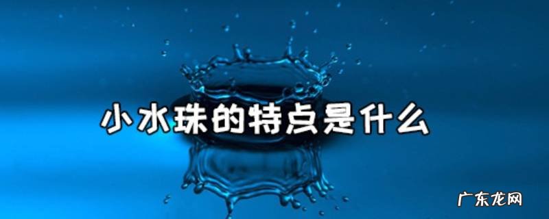 小水珠的特点是什么,小水珠什么什么