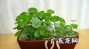 空调太干了怎么办