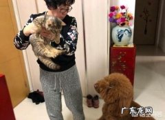 天蝎男直勾勾的盯着你 为什么泰迪犬会直勾勾的盯着你看