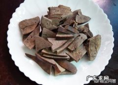 怎么训练狗狗叼东西给主人 主人不能给狗狗吃哪些食物
