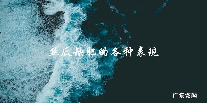 丝瓜缺肥的多种表现,你是否也遇到这些问题?