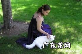 猫咪需要出去散步吗 网友去公园散步,结果却被一只猫咪赖上了,要把它带回家收养吗