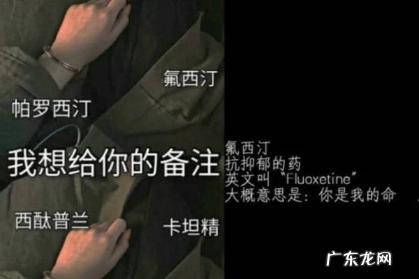 备注氟西汀什么梗