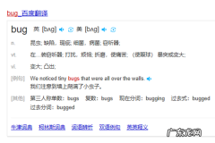 bug是什么意思