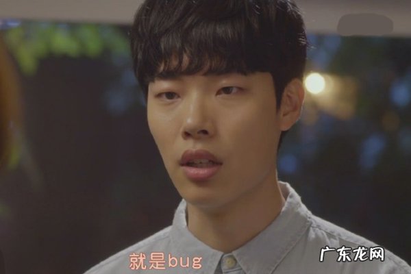bug是什么意思