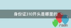 身份证310开头是哪里的,身份证310开头是哪里的身份证