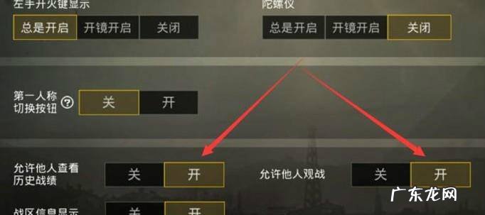 刺激战场怎么关闭好友观战和个人战绩不让好友看