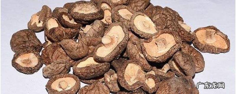 干蘑菇放5年还能吃吗,干蘑菇放了五年还能吃吗