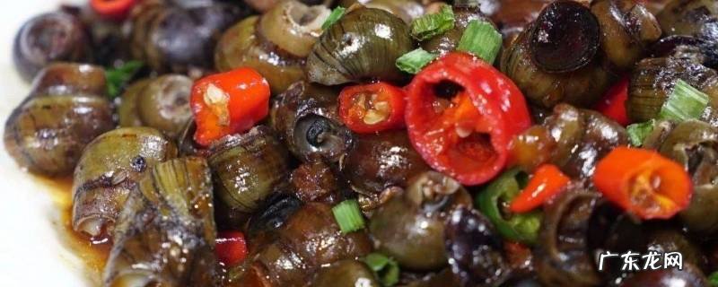 炒螺怎么炒,炒螺怎么炒入味