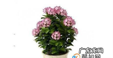 床上方有横梁怎么办