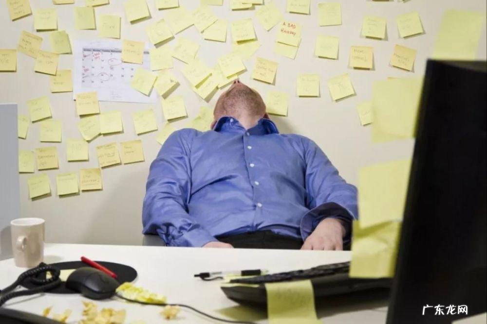 拖延症的基因找到了不过这种基因只对女性产生影响