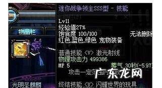 dnf狂战士带什么宠物好