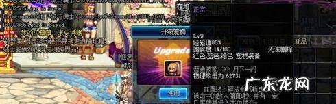 dnf狂战士带什么宠物好
