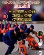 麻雀得到平反，狗算不算人类朋友，无结果，您怎么个观点