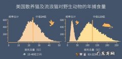 流浪猫杀死了多少小动物 流浪猫狗泛滥成灾是否会抵消保护野生动物的成果