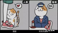 猫对主人的记忆有多久 在猫的心目中，主人算什么