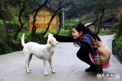 护卫犬养什么狗最好 我国最优秀的土狗是哪一种