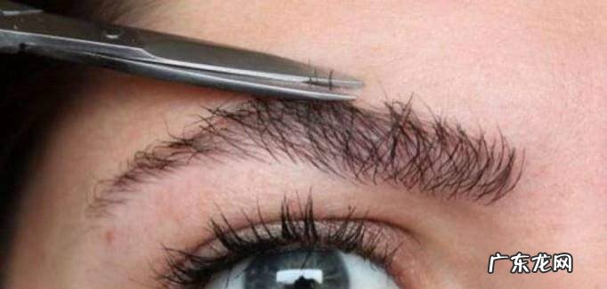 怎么能让眉毛变浓密